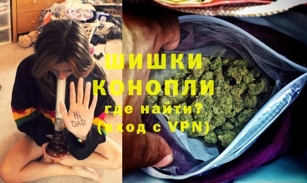 МДПВ Инсар