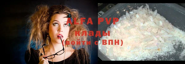 МДПВ Инсар