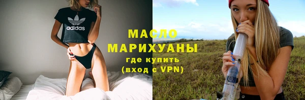 МДПВ Инсар