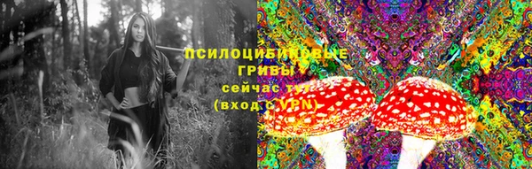 МДПВ Инсар