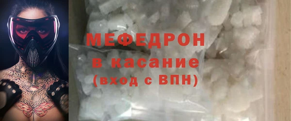 МДПВ Инсар