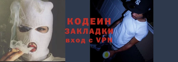 МДПВ Инсар