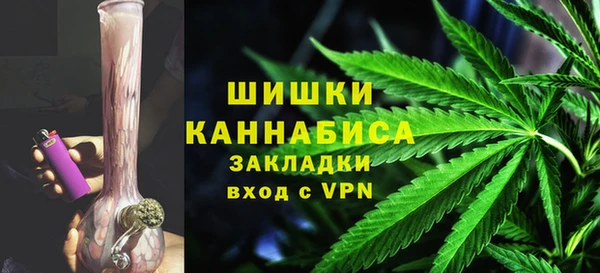 МДПВ Инсар