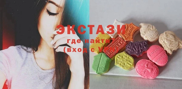 МДПВ Инсар