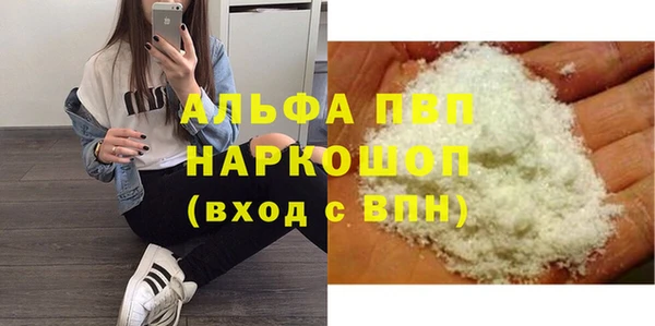 МДПВ Инсар