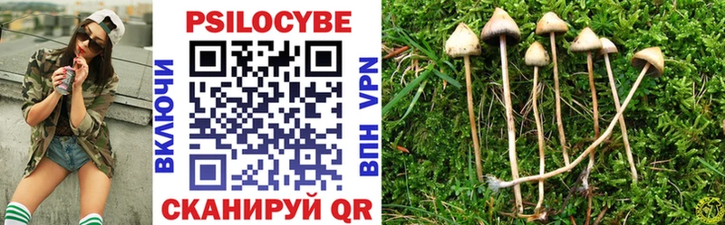 Купить где  Бор  Псилоцибиновые грибы прущие грибы 